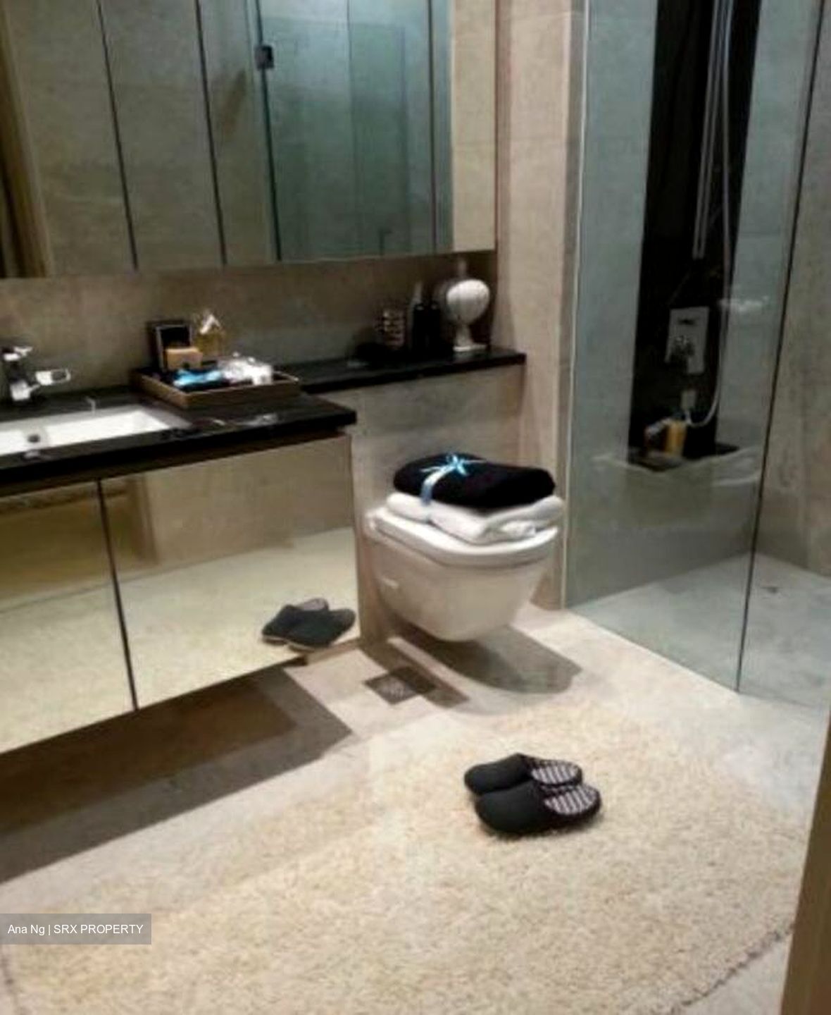The Boutiq (D9), Apartment #449342601